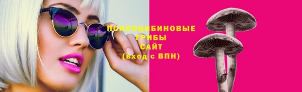 мяу мяу мука Надым