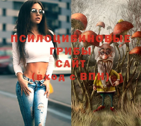 хмурый Наволоки