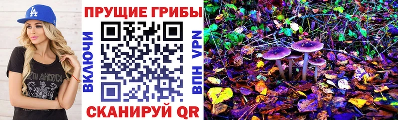 Псилоцибиновые грибы мицелий  мега ссылка  Оса 